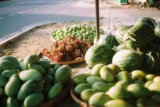 中国吃瓜论坛网站官网,揭秘网络热议背后的真相与趣味