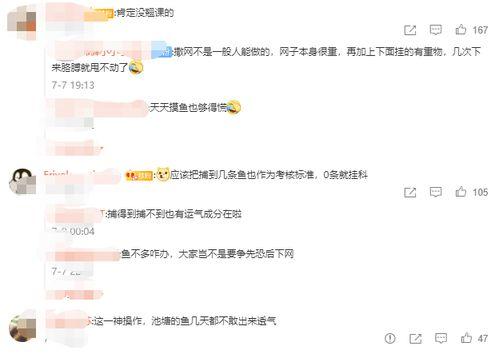 吃瓜网课小说,揭秘校园里的那些秘密与奇遇