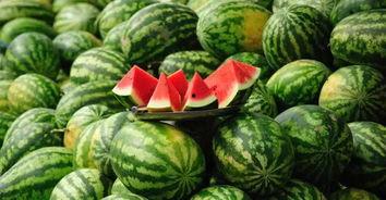 河北网红夫妻吃瓜