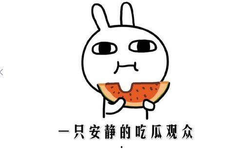 盘点网红吃瓜事件,揭秘网络舆论场的狂欢与争议