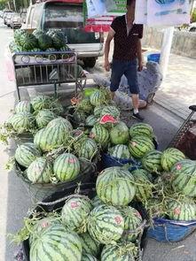 宝坻吃瓜网红事件,揭秘网络舆论的风暴与真相