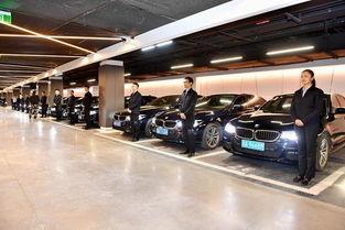 坐网约车吃瓜,网约车上的“吃瓜”奇遇记