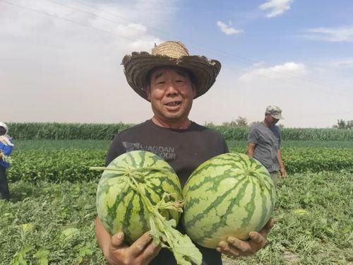 凤凰网吃瓜,揭秘娱乐圈幕后真相，带你领略明星们的真实生活